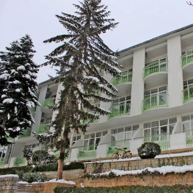 Hotel Klimetica Ohrid Kültér fotó